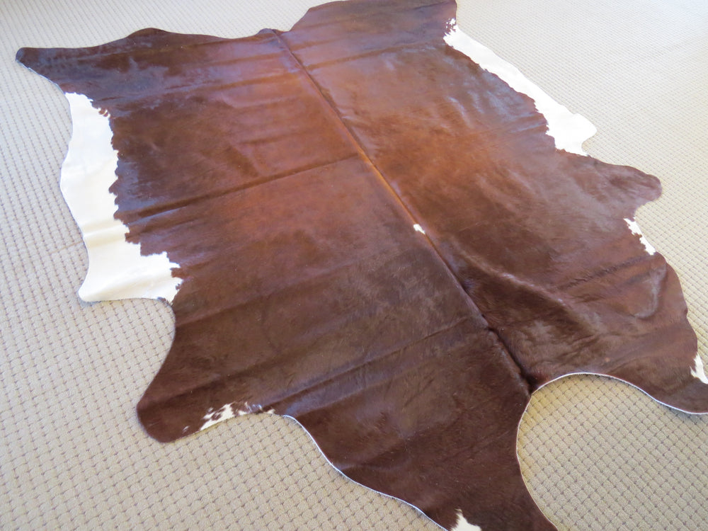 Large Cowhide - Chestnut & White