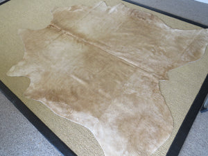 
            
                Load image into Gallery viewer, Large Cowhide - Champagne
            
        