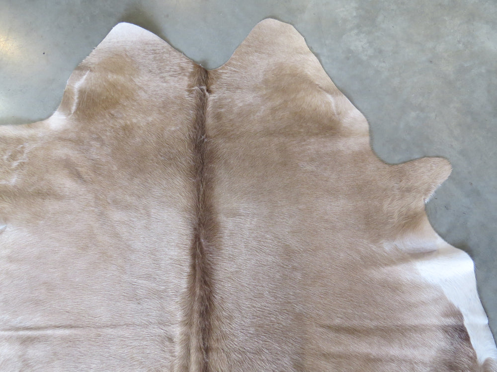 Cowhide Medium SKU 710  - Taupe with white edges