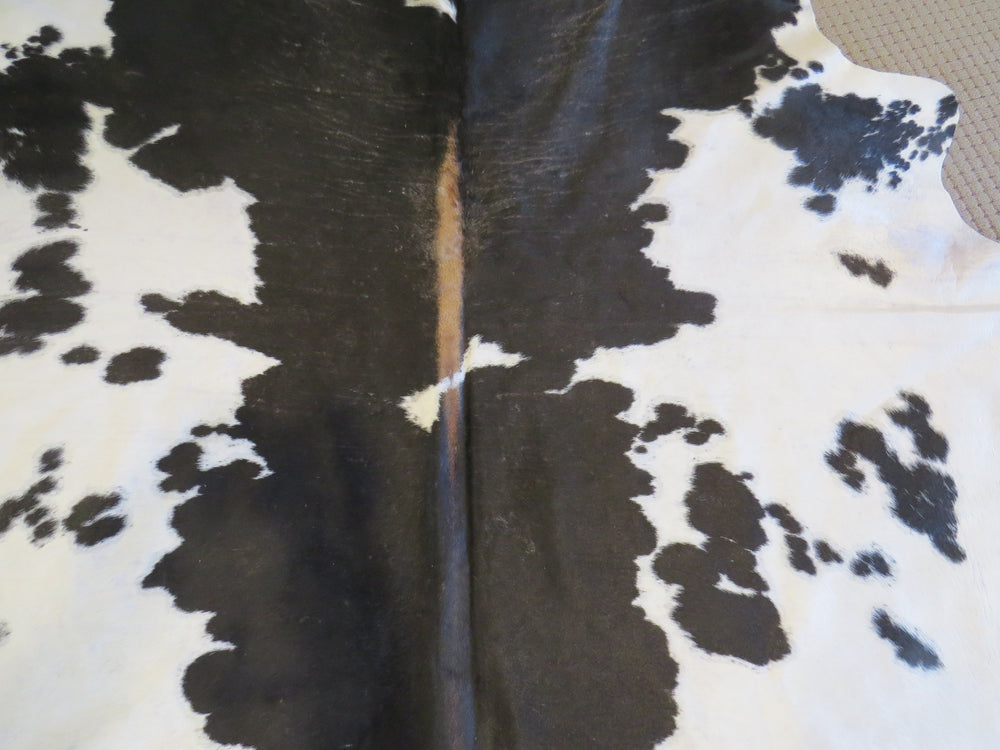 
            
                Load image into Gallery viewer, Large Cowhide - Black + White Brown Spine
            
        